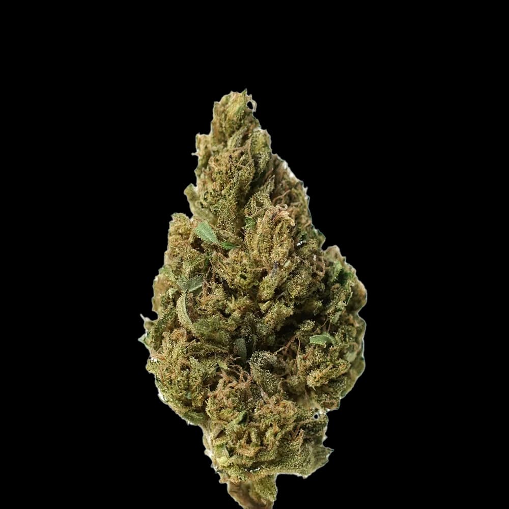 Blue Lavande Bio — fleur CBD