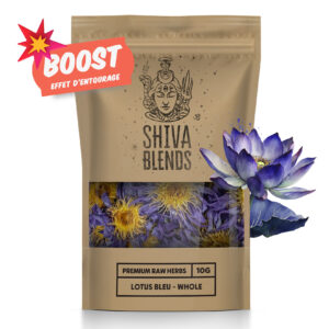 Lotus B. - Vrac - 10g, Fleurs entières