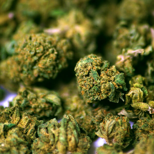 Cannpunch bundle of buds together