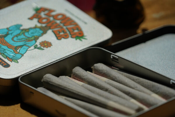 Pré-Rolls Flower Power - 10 Sticks Box