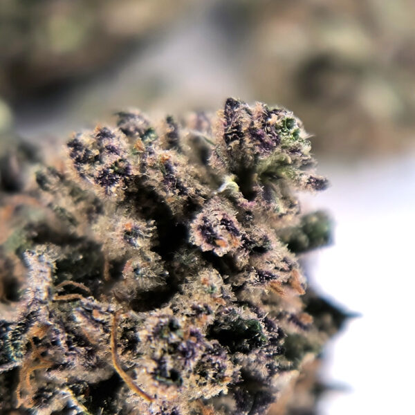 Macro buds blue cheese cbd 2