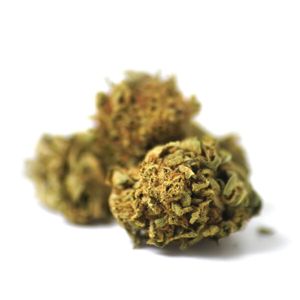 Blueberry Gelato product shot